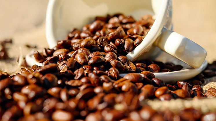 Forkæl dig selv med den perfekte kop kaffe på kaffebønner fra The Brew Company