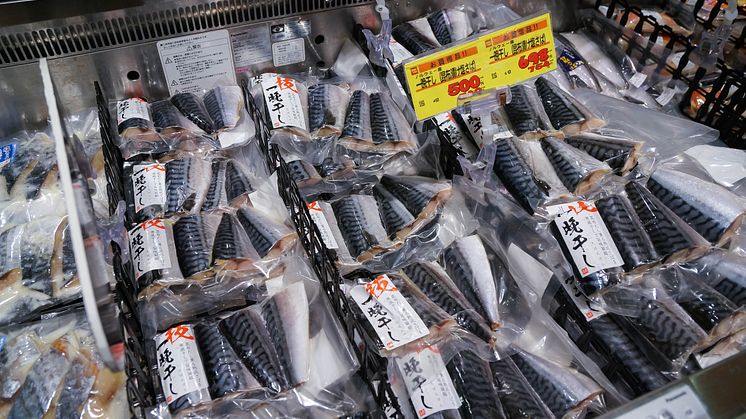 Photo: Johan Kvalheim, Norwegian Seafood Council