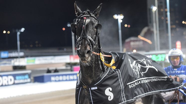 Foto: TR Bild. High On Pepper segerdefilerade hem Hästägarkannan 2023