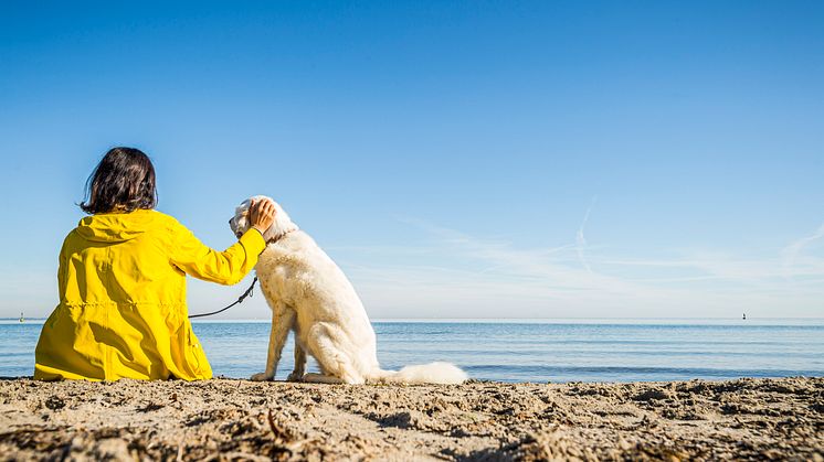 Travemünde: seaside resort, woman with dog on the beach © Olaf Malzahn/LTM