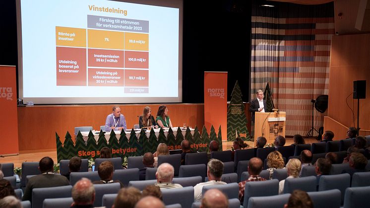 Föreningsstämma.