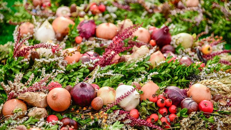 Der Herbst ist da und damit präsentieren regionale  Anbieter*innen ihre landwirtschaftlichen und handwerklichen Erzeugnisse aus der goldenen Jahreszeit.