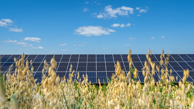 Solceller i kombination med jordbruk ska testas genom Interreg-projekt.