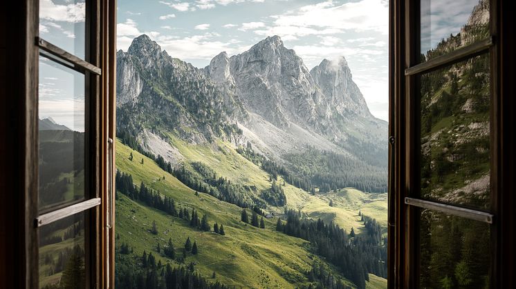 La Gruyère 