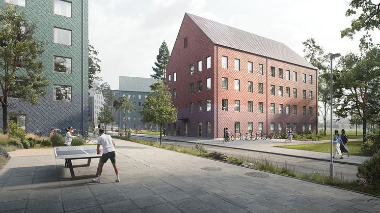 Norra Campusparken, Umeå