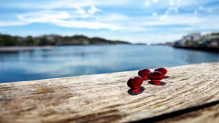 Zooca Calanus oil capsules