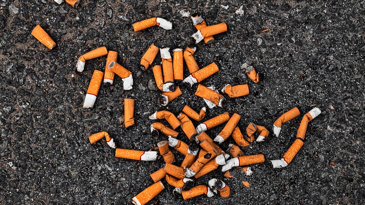 Drivers hurl litter and cigarette butts out of the window as motorcyclists overtake