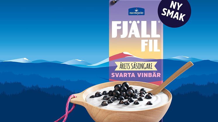 Fjällfil Svarta vinbär