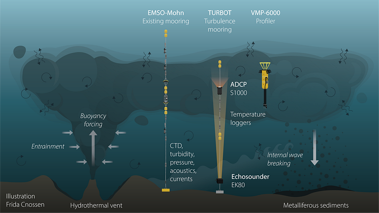 TURBOT graphical abstract Achim 01.03.24.png