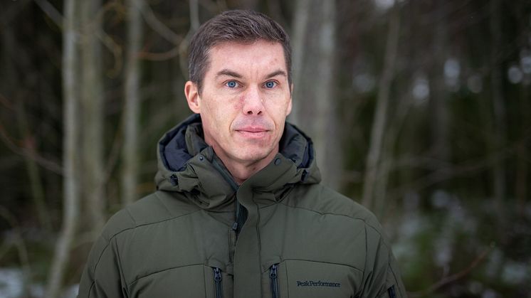 A mixed forest leads to less damage to trees, according to extensive data analysed by Micael Jonsson and his colleagues. Photo: Ulrika Bergfors