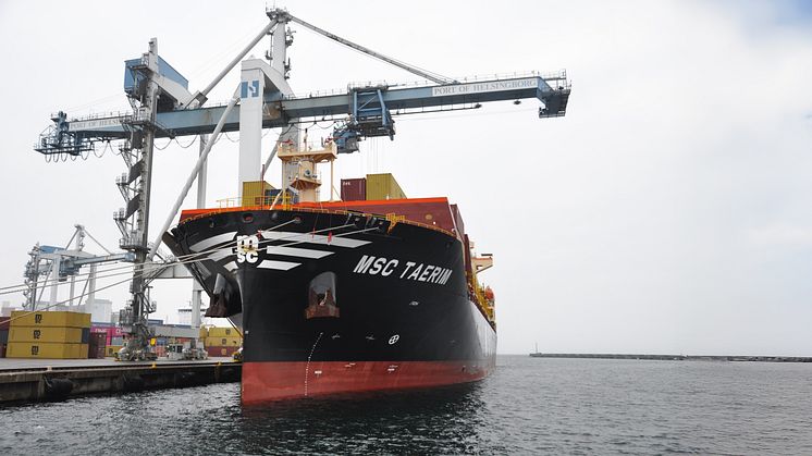 Containerfartyget MSC Taerim vid kaj i Helsingborgs Hamn med kranar som lastar och lossar containrar.