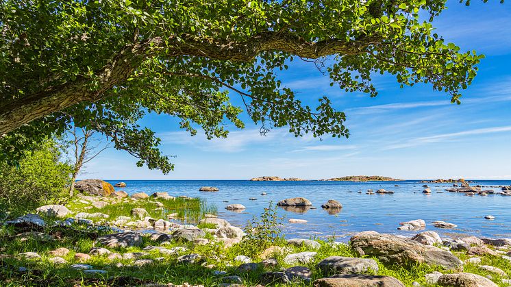 Strandskyddsexperten Giedre Jirvell är kritisk mot strandskyddsreglernas tillämpning