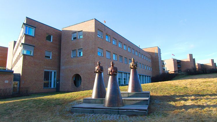 "Tre gratier", foran Oslo universitetssykehus, Rikshospitalet. Foto: Anders Bayer, OUS