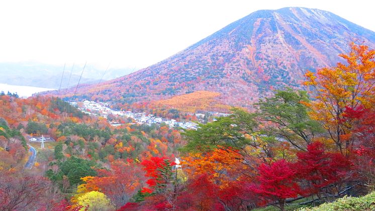 Explore Nikko’s Autumn Top Three Must-Visit Spots with TOBU Railway