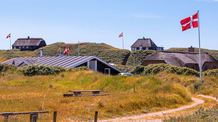 danske sommerhuse.jpg