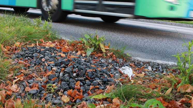 En regnbädd på Andromedagatan på Lindholmen i Göteborg får mikroplaster att stanna kvar i stället för att hamn i Göta älv. Foto: Kretslopp och vatten
