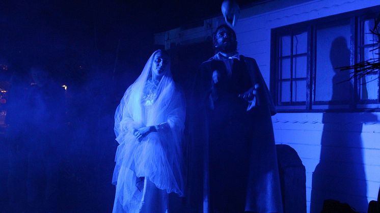 Halloweenfest am Biedermeierstrand (Schladitzer See)