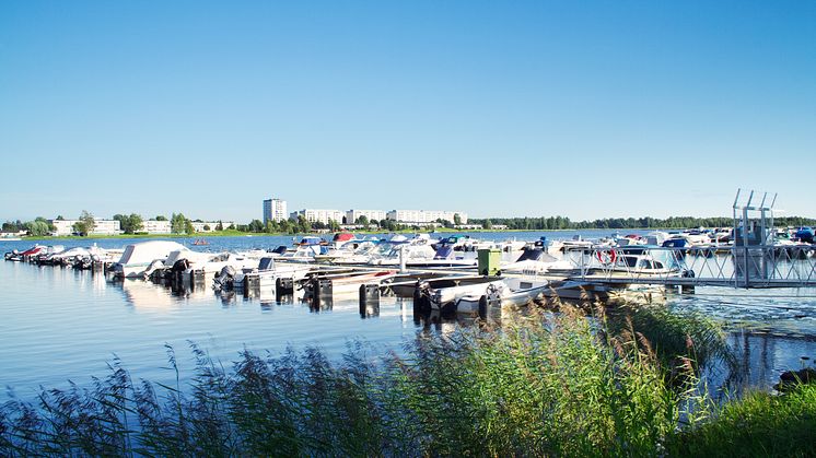 Nu sätter kommunen upp skyltar för att förtydliga att det råder badförbud i småbåtshamnar.