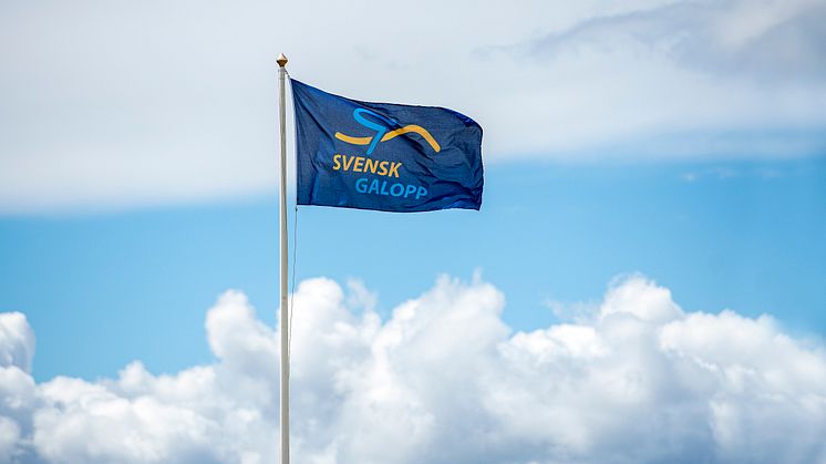 Harald Dörum blir ny vd för Svensk Galopp AB