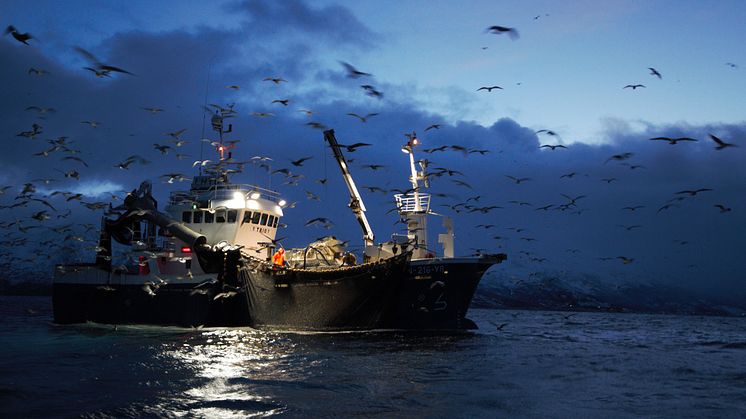 Fishermen_photo_Pierre_Blevin.jpg