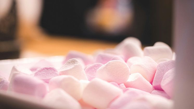 pexels-bohlemedia-1114429.jpg