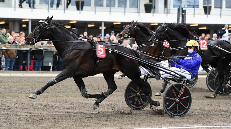Charron har fått den femtonde Elitloppsbiljetten och kommer att vara Norges representant i världens största sprinterlopp. Foto: TR Bild