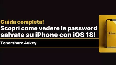 vedere le password salvate su iOS 18 beta, visualizzazione delle password su iPhone, password salvate su iPhone, scaricato la beta di iOS 18,  come visualizzare le password salvate su iPhone con iOS 18, gestore password di iOS