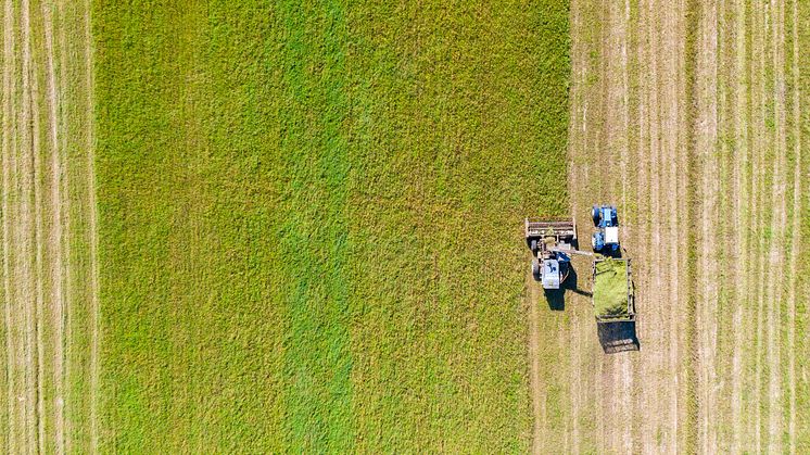 Bird & Bird advises AgriZeroNZ in its investment in Agteria Biotech