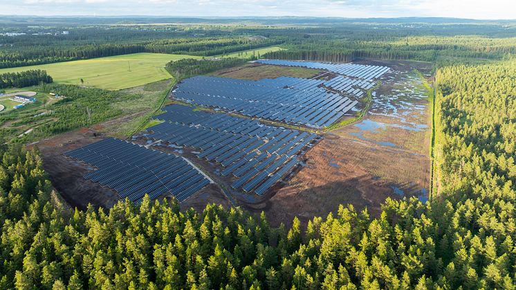 Foto från Henja, Aneos befintliga solkraftverk i Sverige. Foto: Sofia Lewerin.