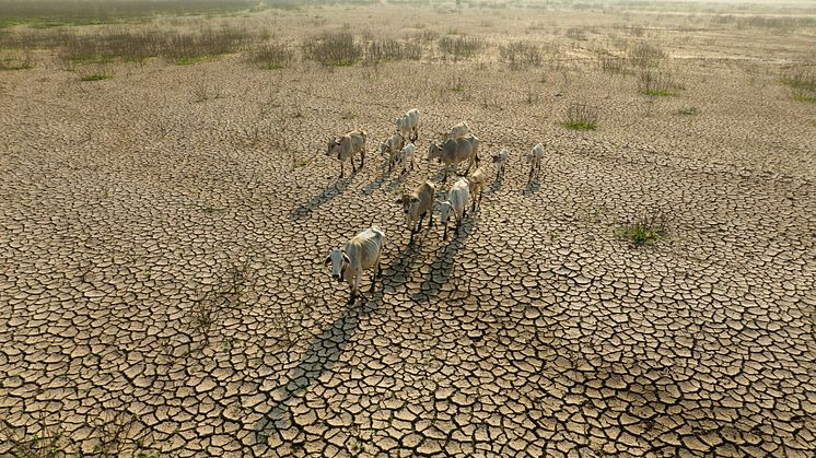 Jordbruksberoende regioner drabbas hårt av klimatrelaterade händelser som torka och översvämningar.