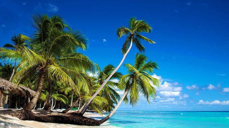 alltours geht mit einem deutlich ausgebauten Reiseprogramm in die Wintersaison 2024/25.