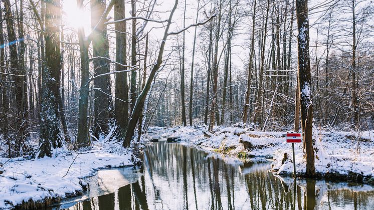 Abschalten und auftanken - auf und an den winterlichen Fließen im Spreewald. Foto: TMB-Fotoarchiv/Steffen Lehmann. 