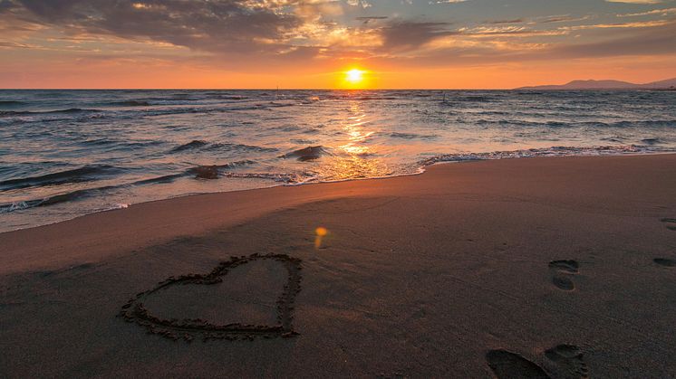 pexels-pixabay-269583.jpg