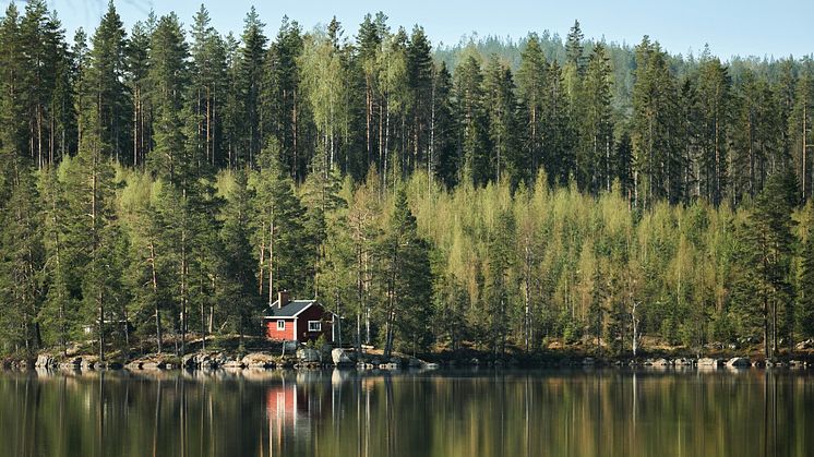 Tre år spelfri - En inspirerande resa mot livsglädje