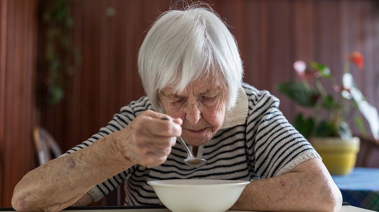 Studien ger viktiga insikter för vårt nutida samhälle. Idag genomgår världen en liknande omvandling. För att säkerställa att äldre inte blir ekonomiskt utsatta i framtiden behövs långsiktiga lösningar.