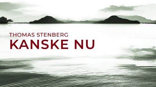 Från kris till självinsikt: Thomas Stenbergs nya roman "Kanske nu"