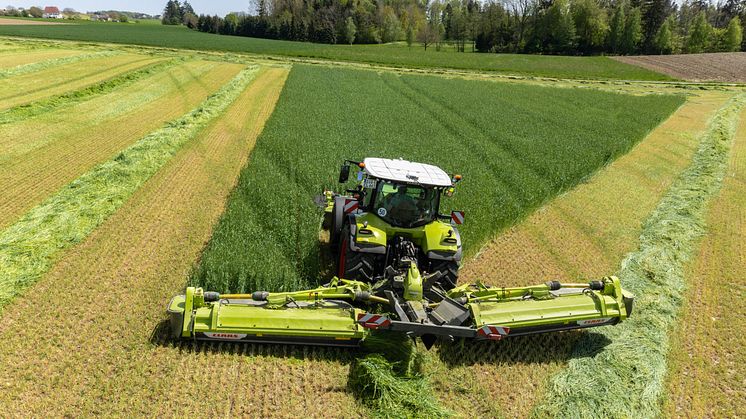 Flexible swath-laying via belt or auger