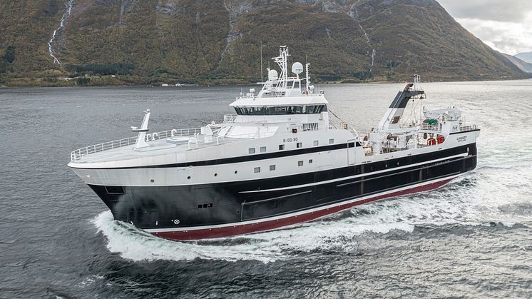 Langøy, a Norwegian Frozen at Sea member vessel owned by Prestfjord, part of the Holmøy Group.