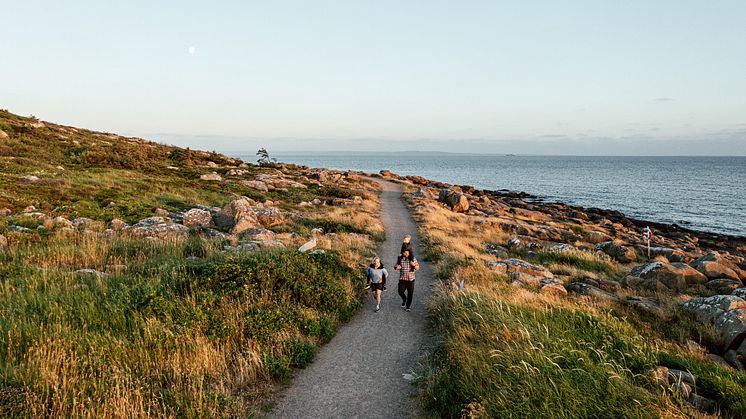 2024 var det rekordmånga internationella gäster som besökte Halland - över 400 000 gästnätter.