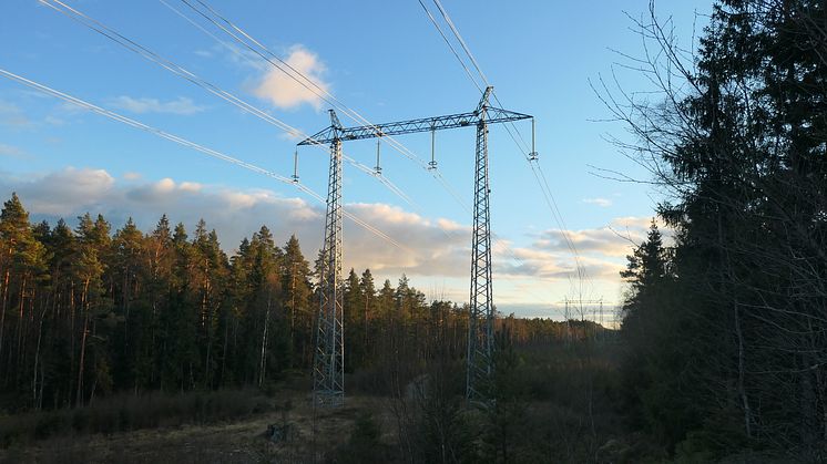 P1000793.JPG