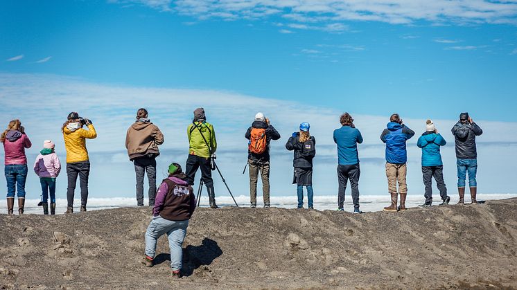Credit - The National Audubon Society. Audubon is one of grant winners with a focus on expanding Ecotourism as an Economic Driver in Alaska with a Focus on Birding Trails.