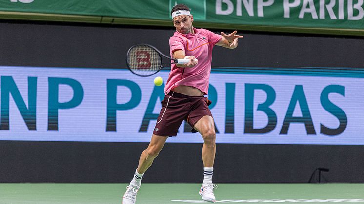Grigor Dimitrov bjöd på stor tennis under torsdagen.