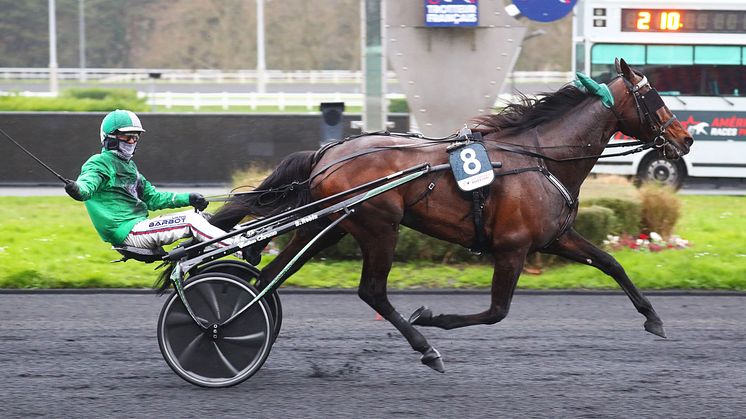 Hussard du Landret klar för Elitloppet 2025. Foto: Gerard Forni