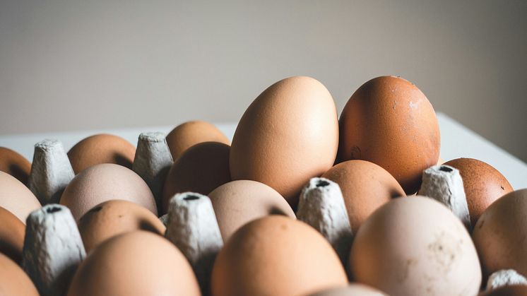 Bara ägg från frigående höns i alla Axfoods egna märkesvaror