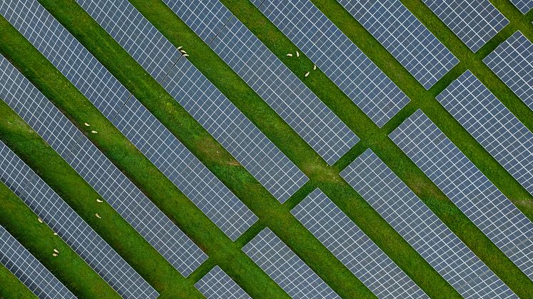 ProjectZeroBjerndrupSolcelleparkAug2023-0007.jpg