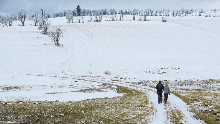 Winterwandern im Osterzgebirge (Foto: Lukas Häuser)