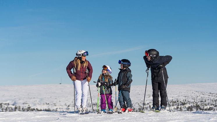 Rekordresultat igen genom stort intresse för alpin skidåkning och ökade reavinster