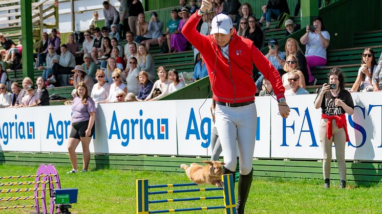 Swiss Equestrian Martin Fuchs wins Nations Cup in Rabbit Jumping at Falsterbo Horse Show