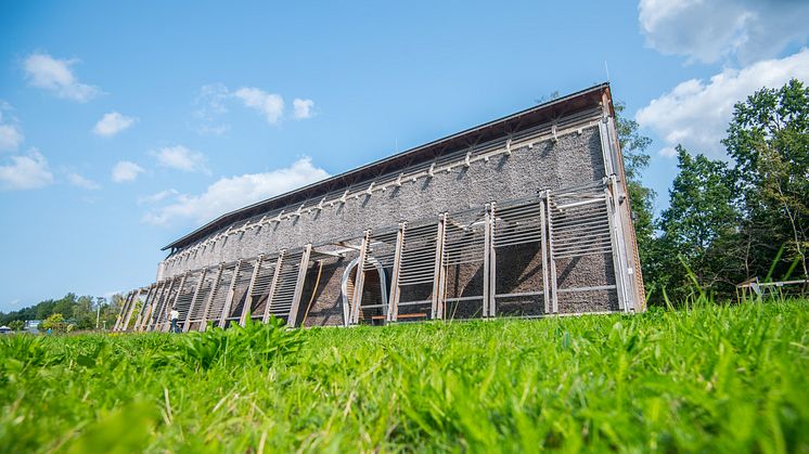 Oelsnitz im Erzgebirge, Bürgerpark mit Gradierwerk (Foto: TVE/Georg Ulrich Dostmann)