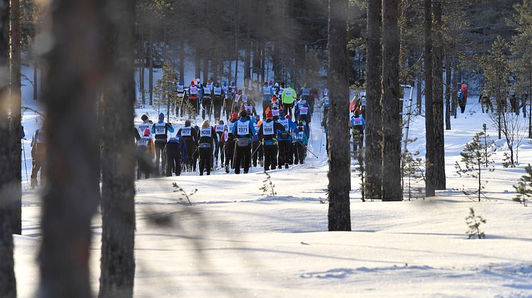 Öppet Spår söndag 